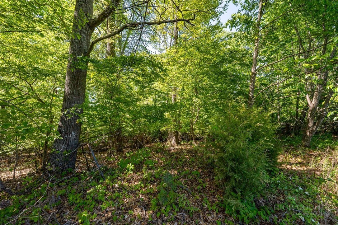 Image number 4 for the current listing