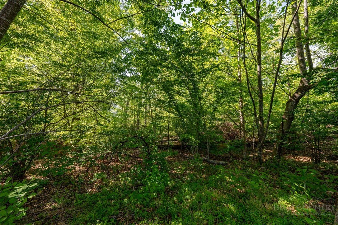 Image number 3 for the current listing