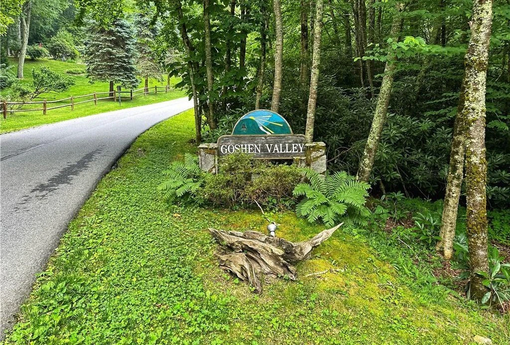 Image number 2 for the current listing
