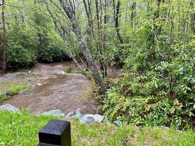 Image number 5 for the current listing