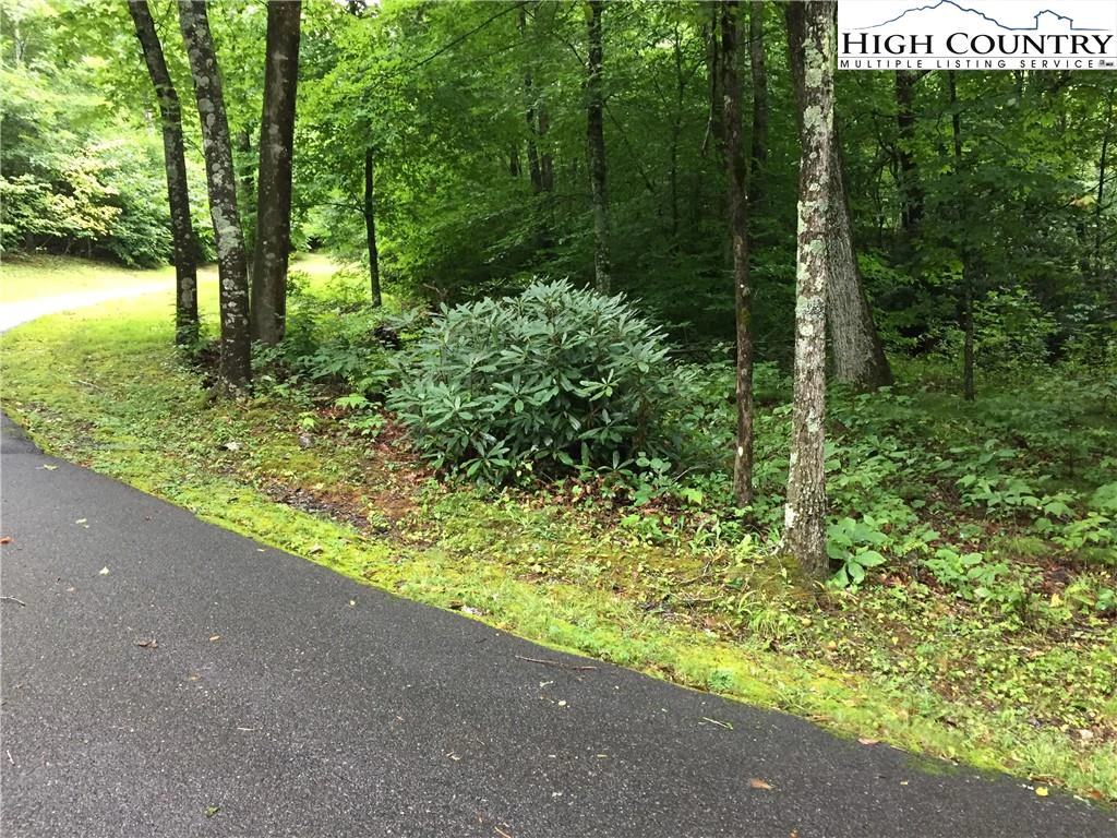 Image number 3 for the current listing