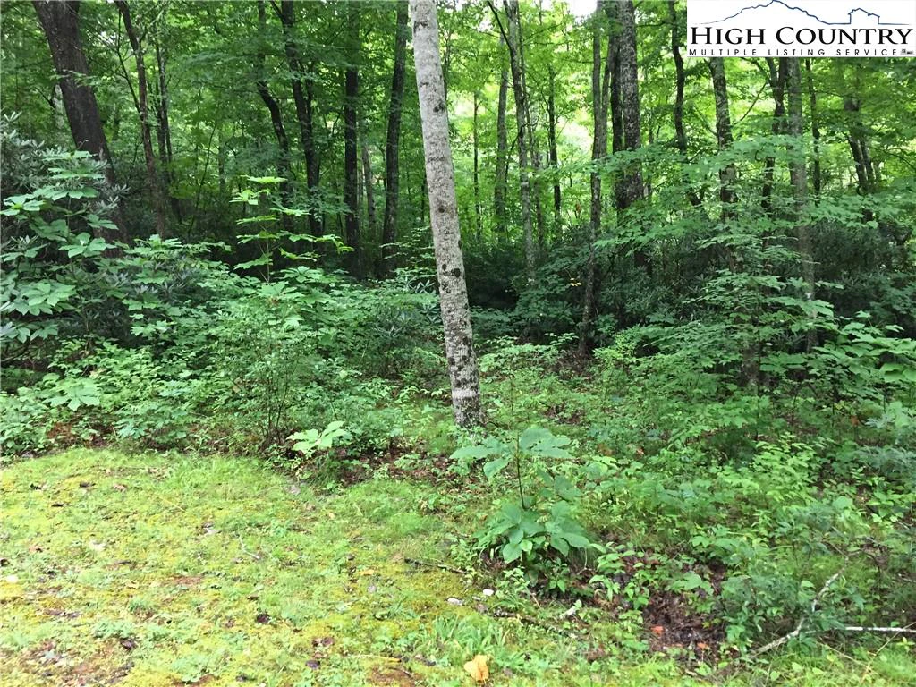 Image number 7 for the current listing