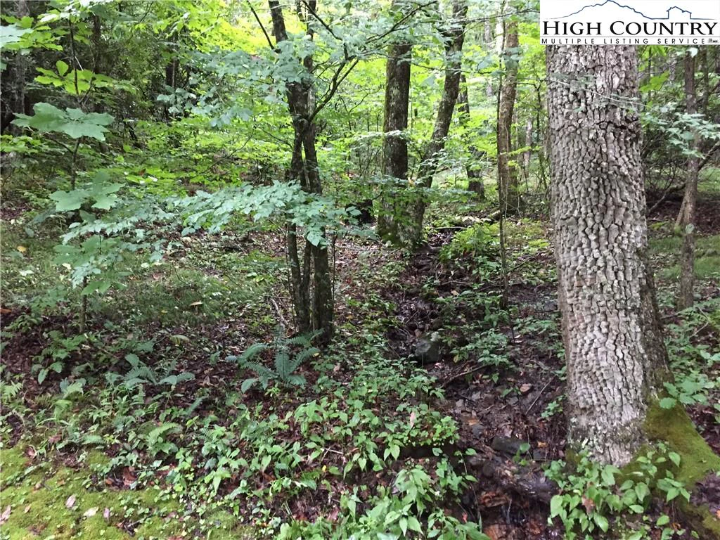 Image number 9 for the current listing
