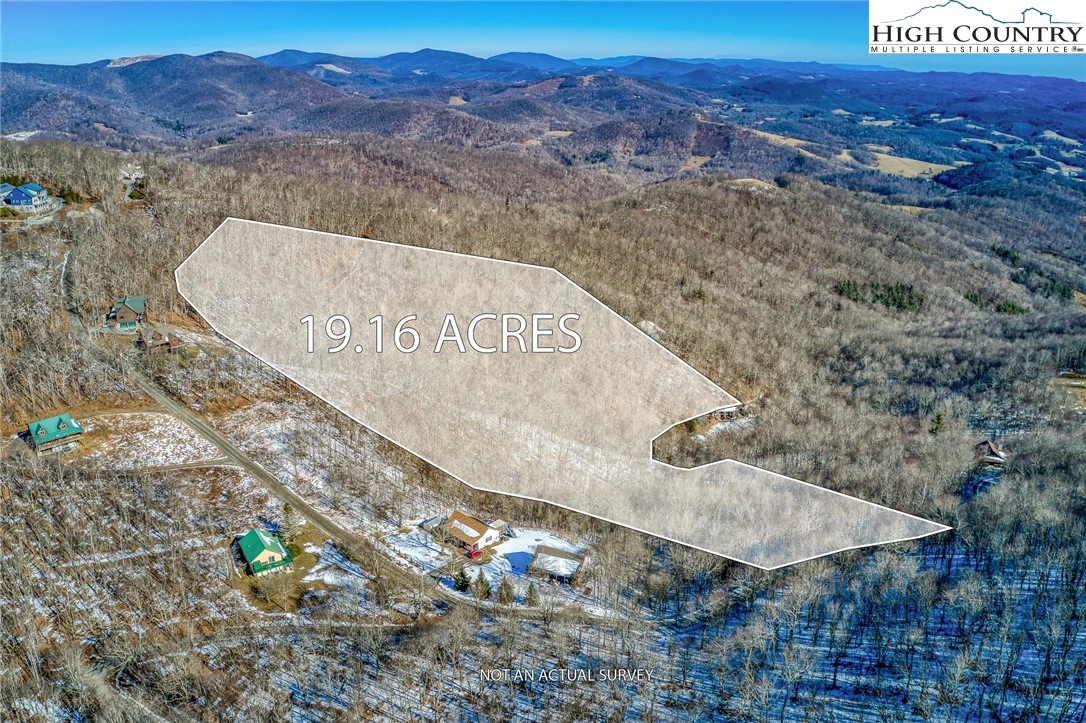 Image number 1 for the current listing