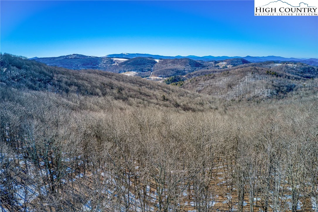 Image number 3 for the current listing