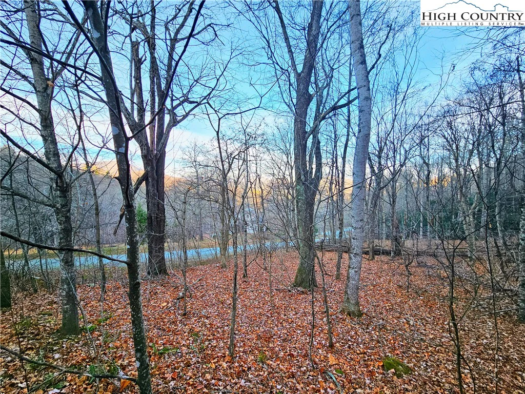Image number 1 for the current listing