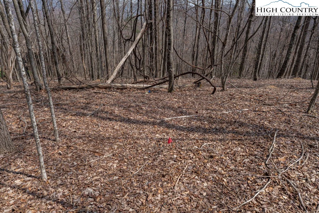 Image number 3 for the current listing