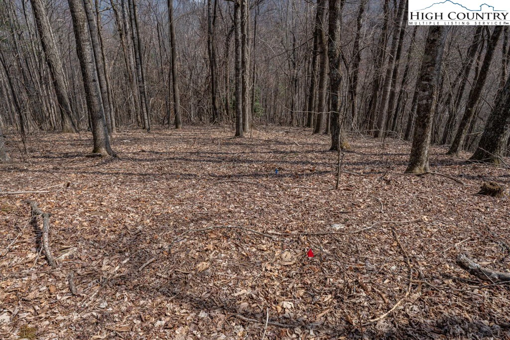 Image number 5 for the current listing