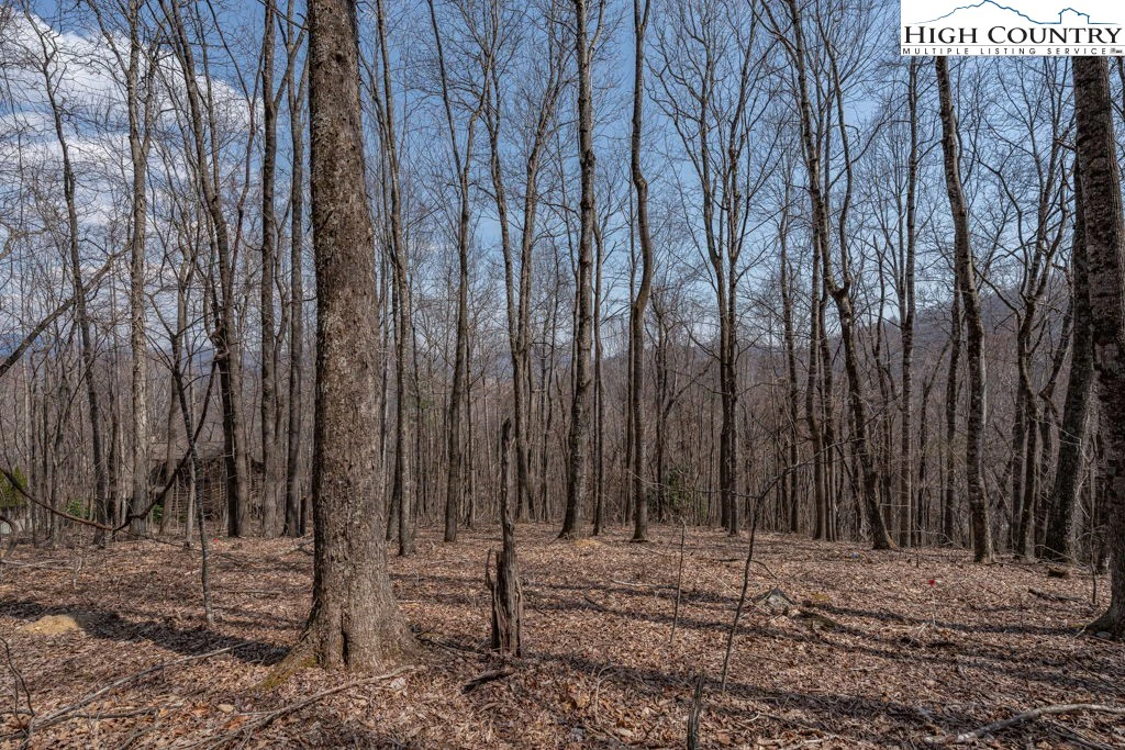 Image number 6 for the current listing