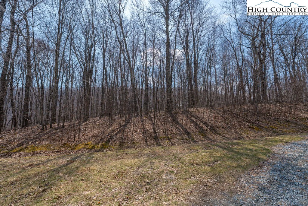 Image number 7 for the current listing