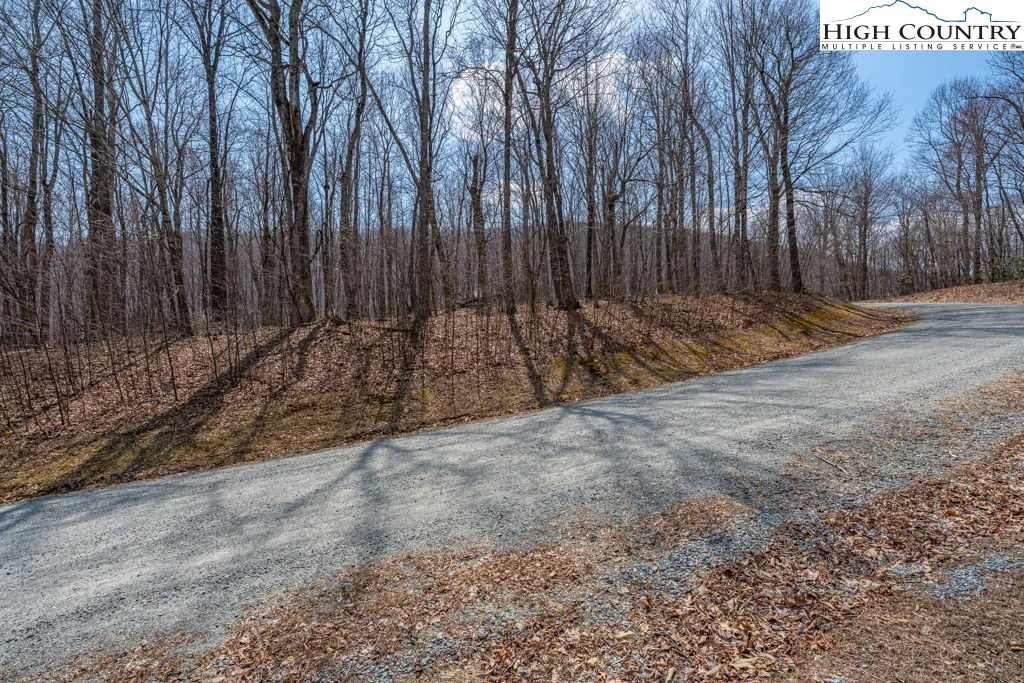 Image number 9 for the current listing