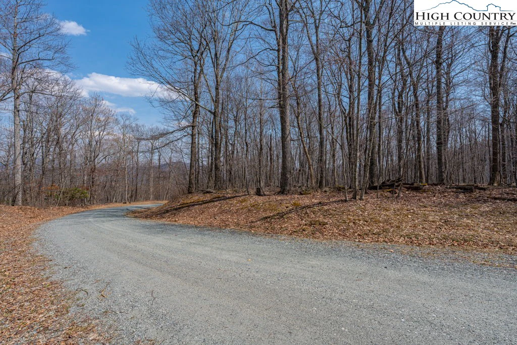Image number 2 for the current listing