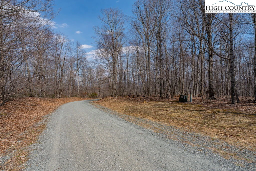 Image number 11 for the current listing