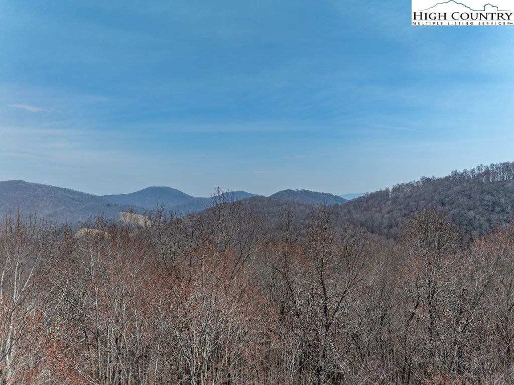 Image number 14 for the current listing