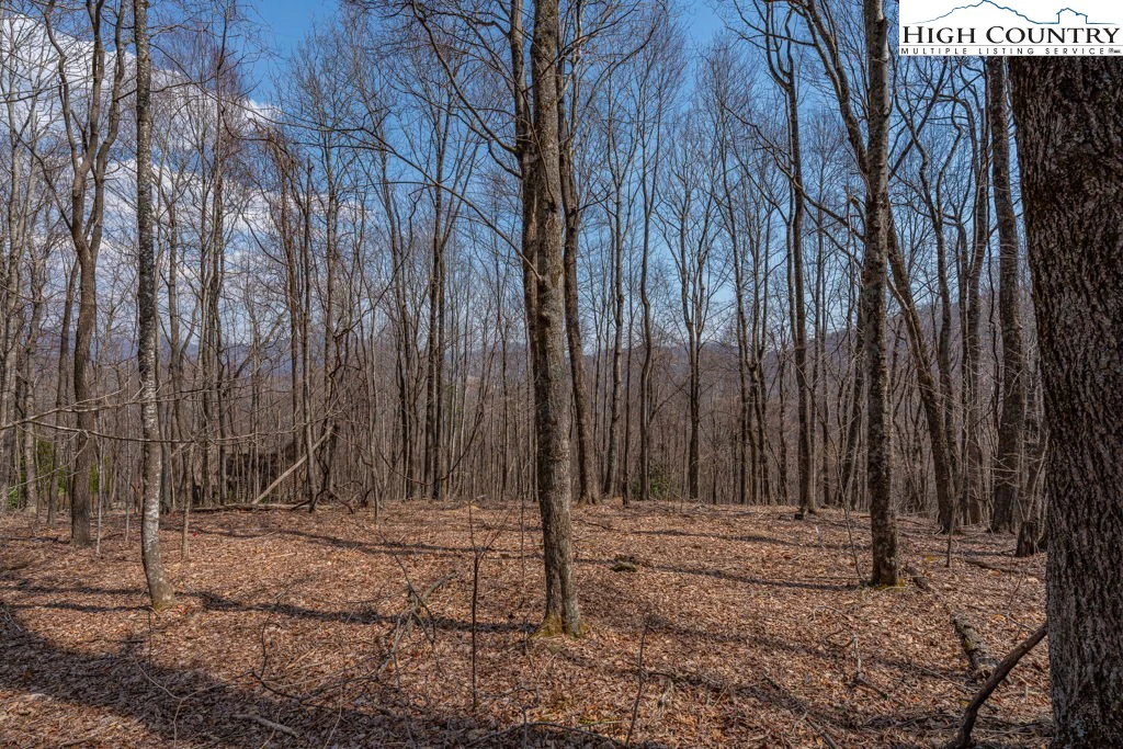 Image number 10 for the current listing
