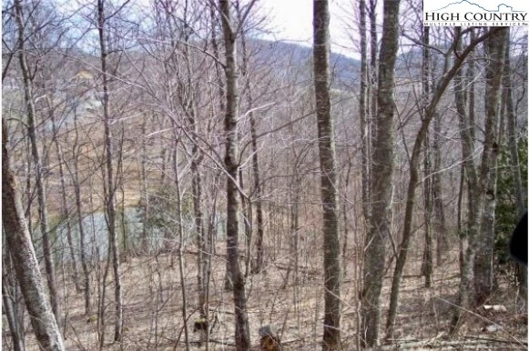 Image number 1 for the current listing