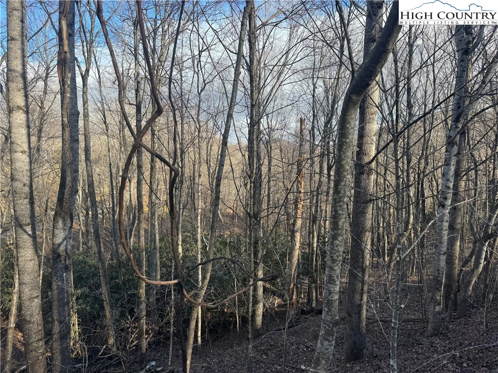 Image number 6 for the current listing