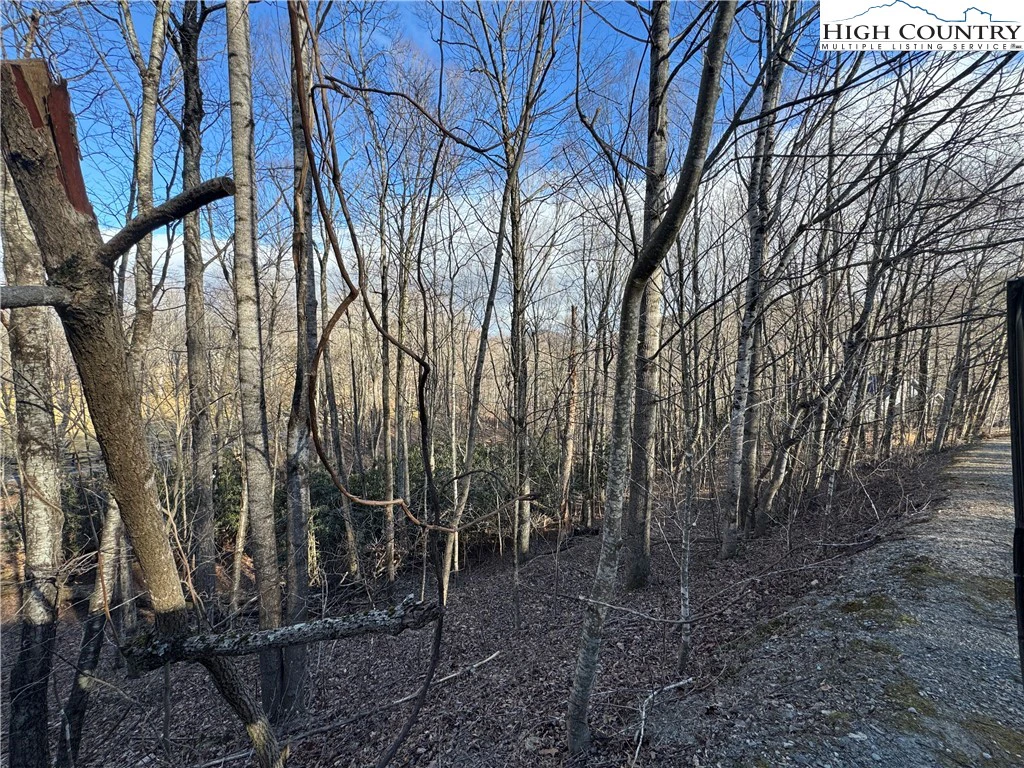 Image number 7 for the current listing