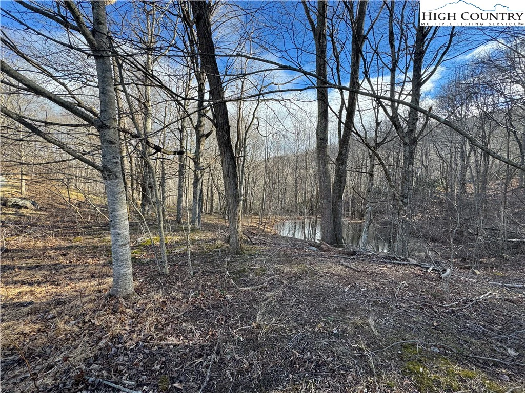 Image number 9 for the current listing