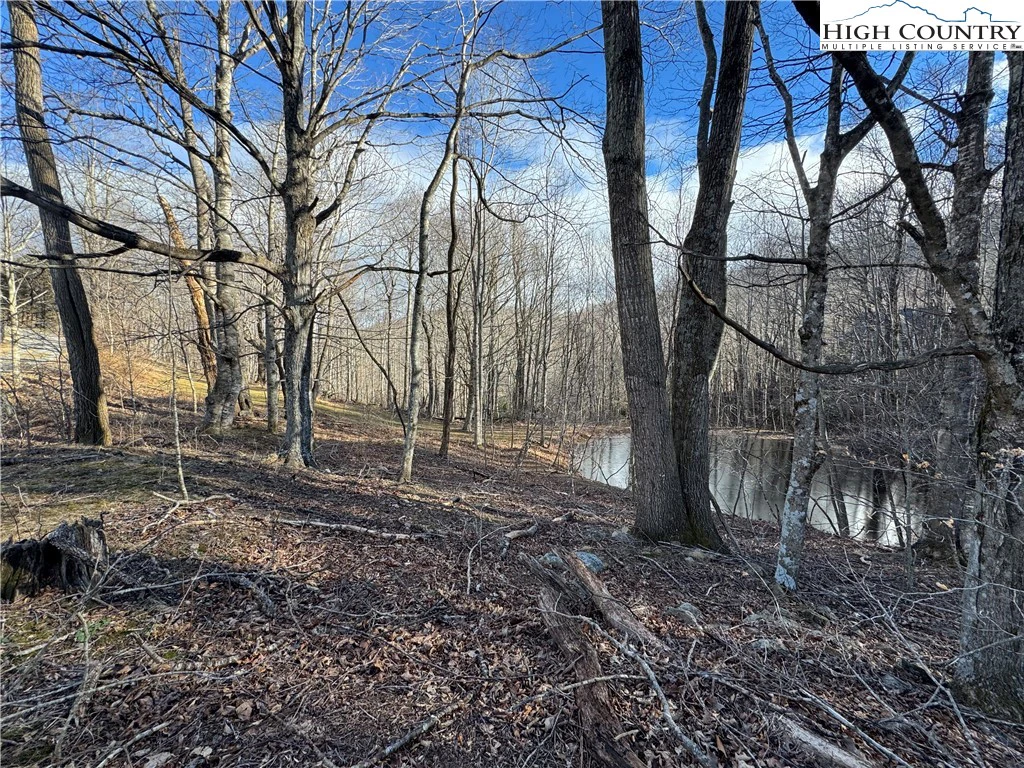 Image number 4 for the current listing