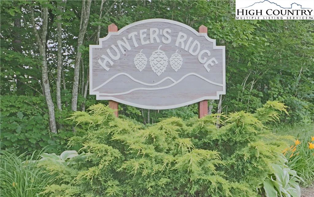 Image number 1 for the current listing