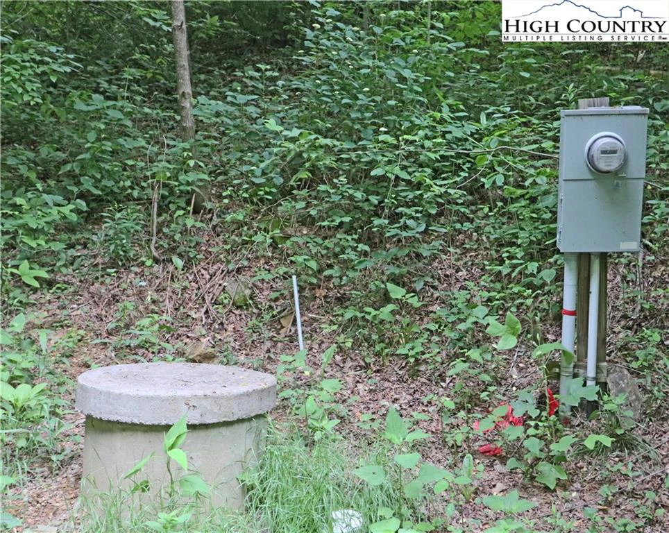 Image number 11 for the current listing