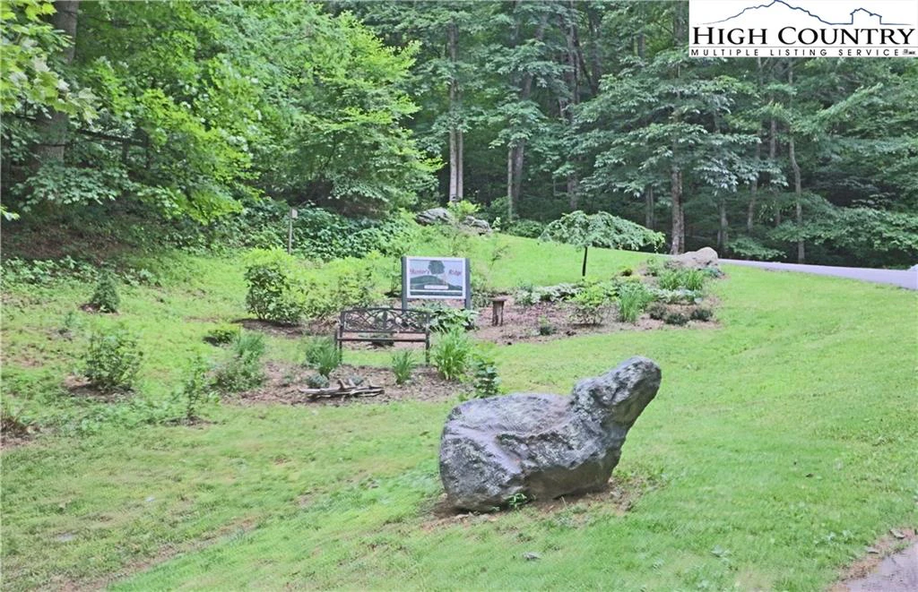 Image number 12 for the current listing