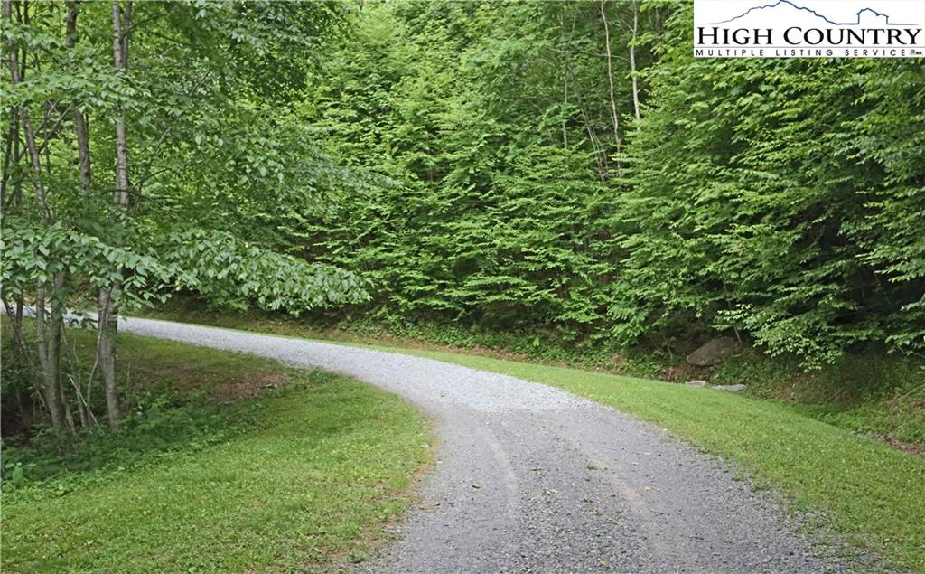 Image number 4 for the current listing
