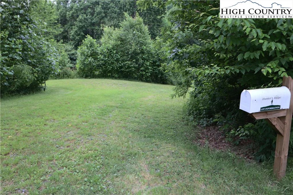 Image number 5 for the current listing