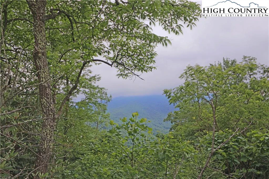 Image number 9 for the current listing