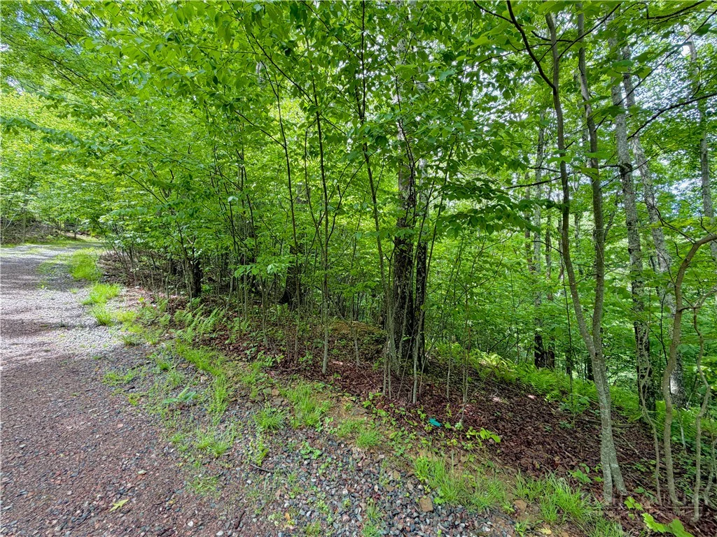 Image number 2 for the current listing