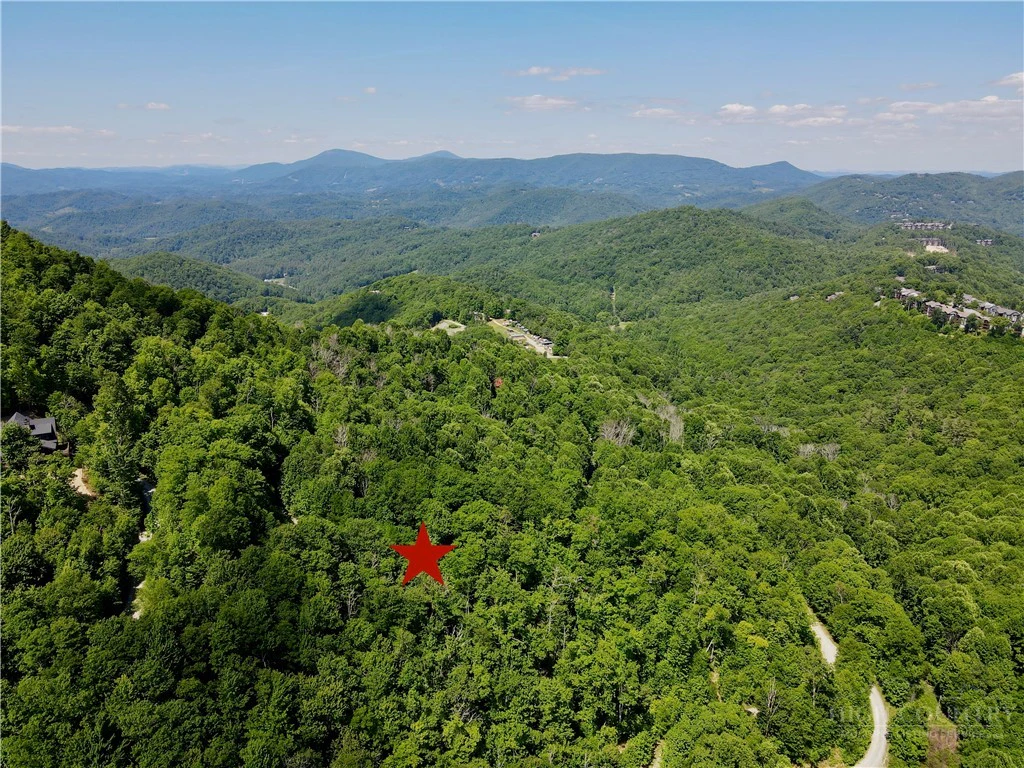 Image number 7 for the current listing