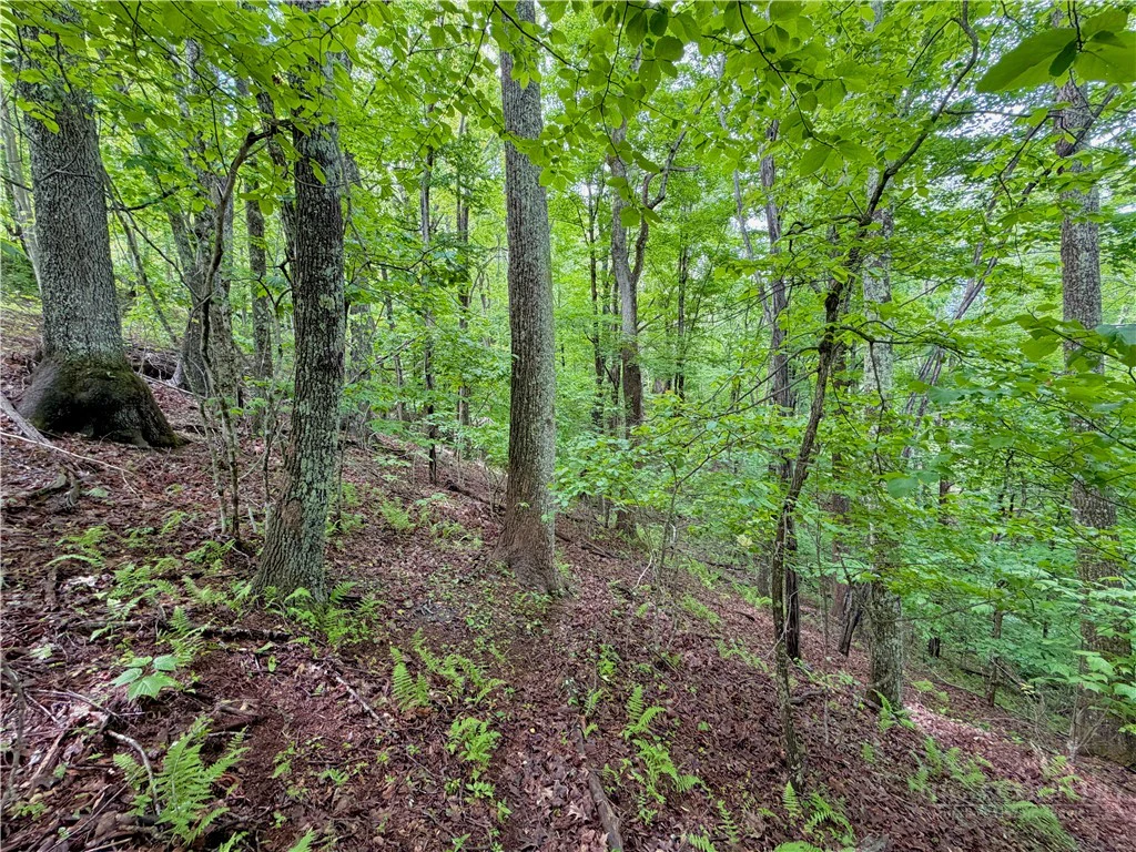 Image number 15 for the current listing