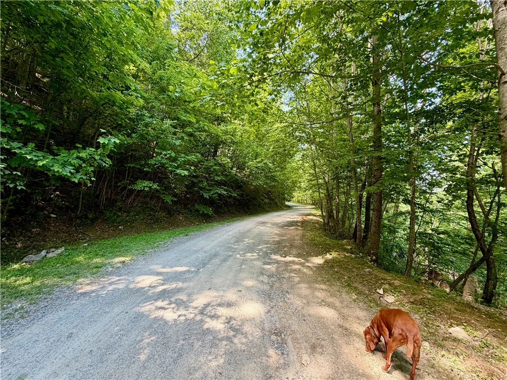 Image number 12 for the current listing