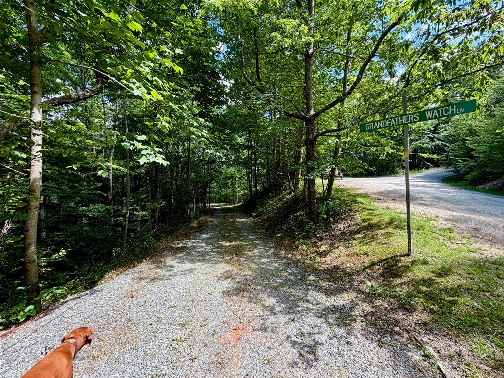 Image number 13 for the current listing