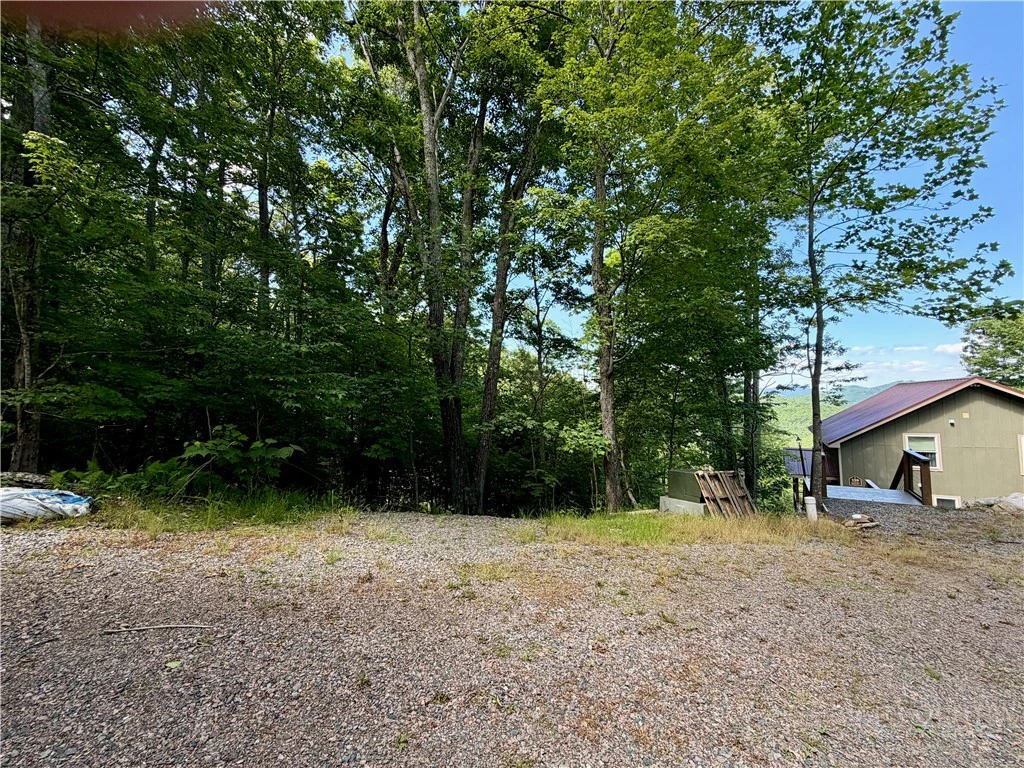 Image number 11 for the current listing