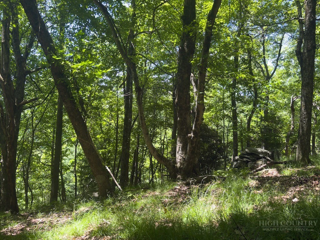 Image number 1 for the current listing