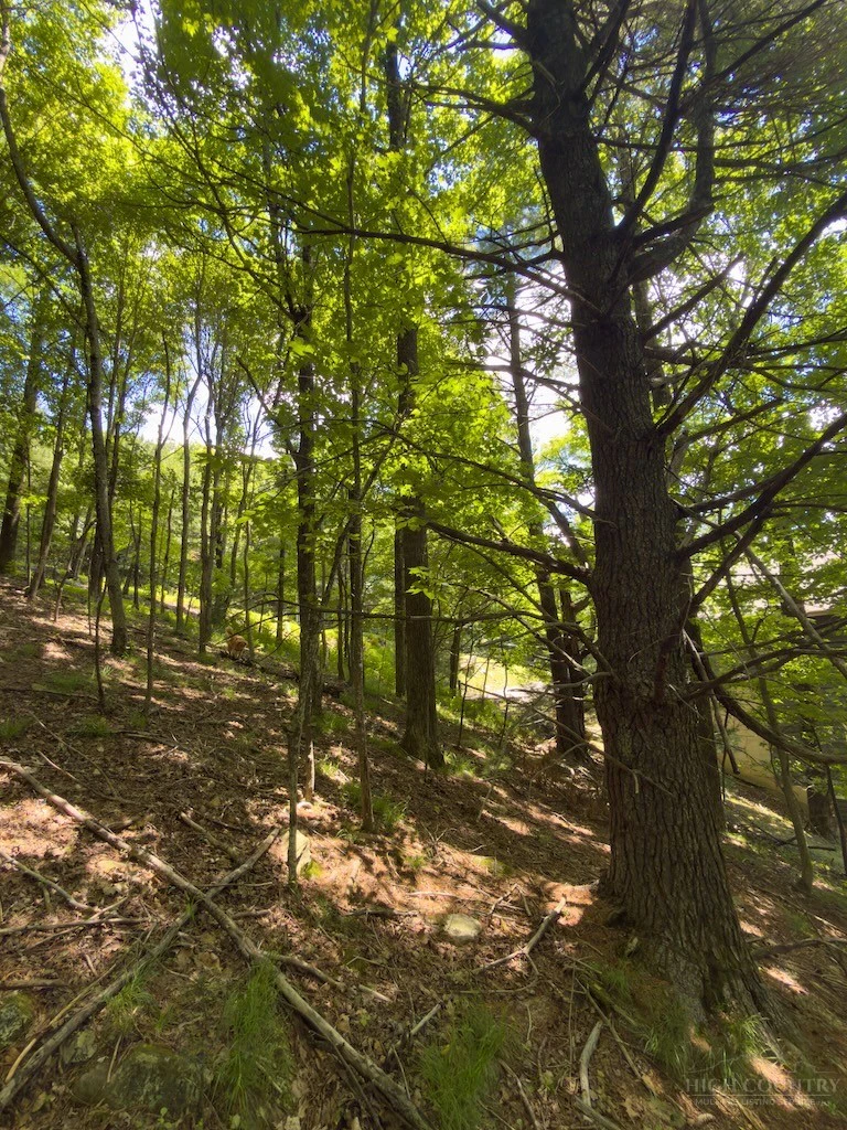 Image number 6 for the current listing