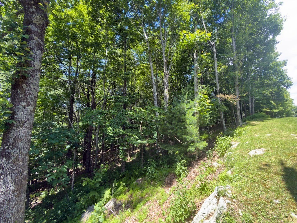 Image number 3 for the current listing
