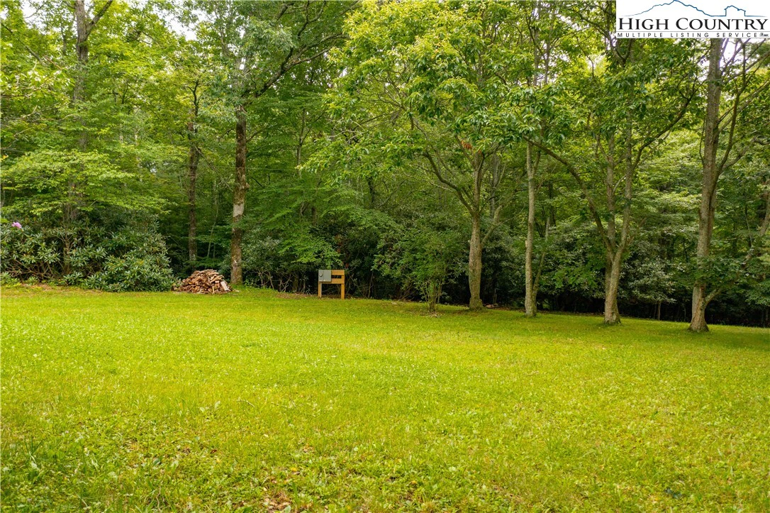 Image number 7 for the current listing