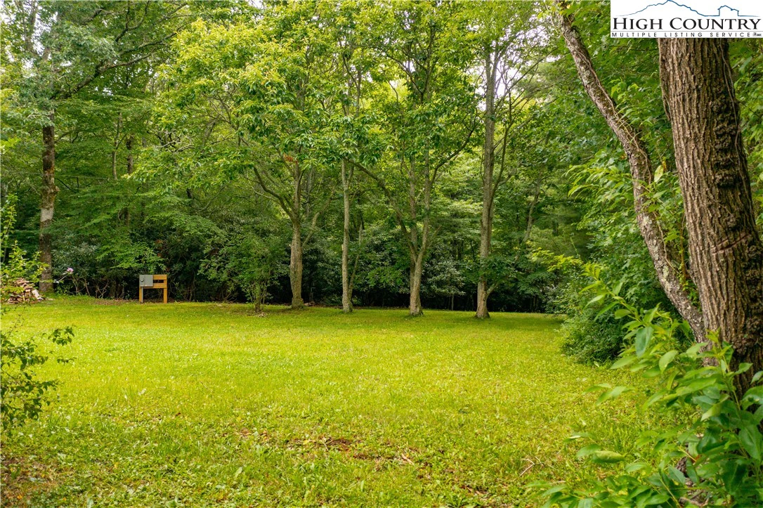 Image number 4 for the current listing