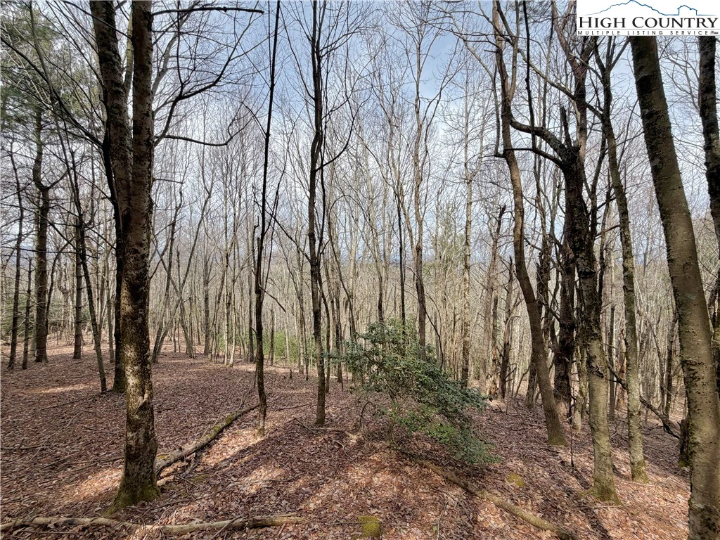 Image number 13 for the current listing