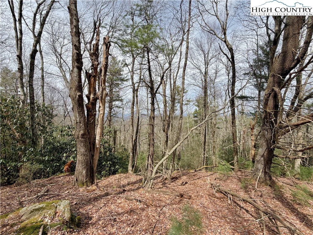 Image number 5 for the current listing