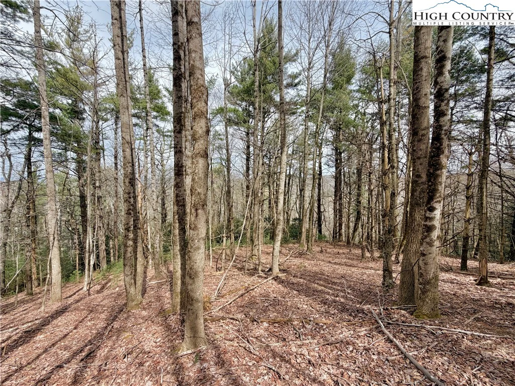 Image number 6 for the current listing