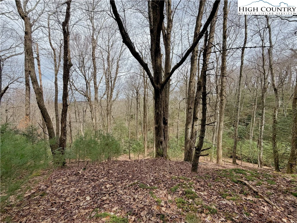 Image number 7 for the current listing