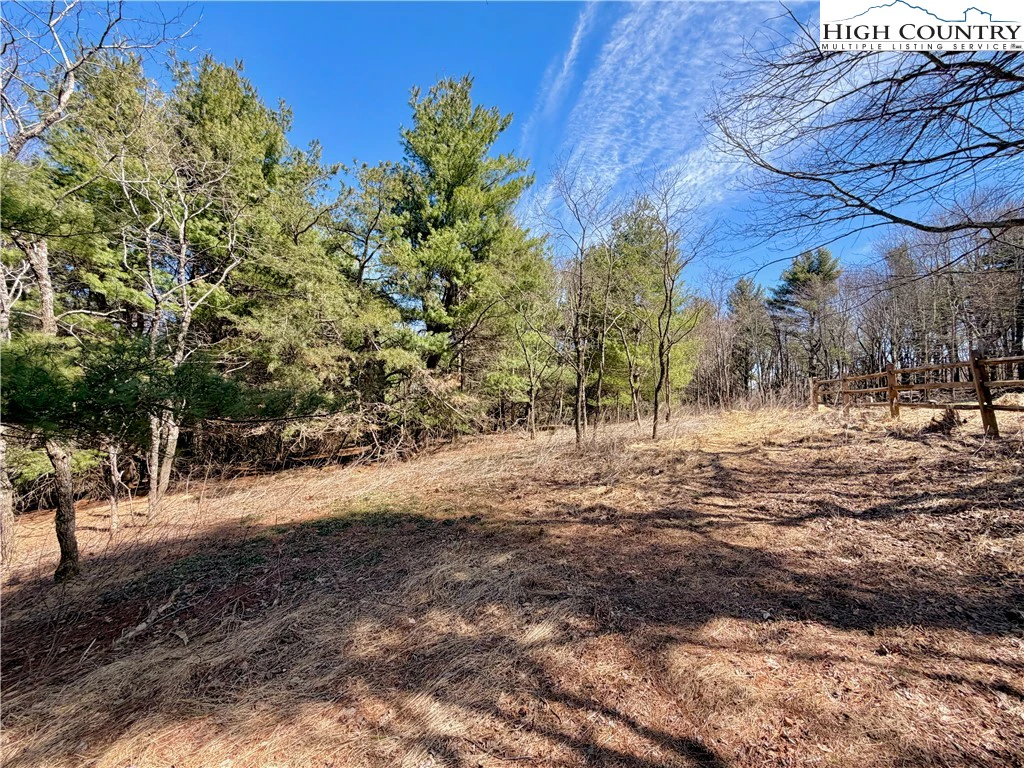 Image number 11 for the current listing