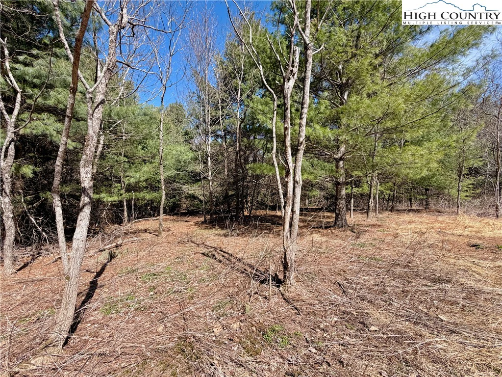 Image number 12 for the current listing