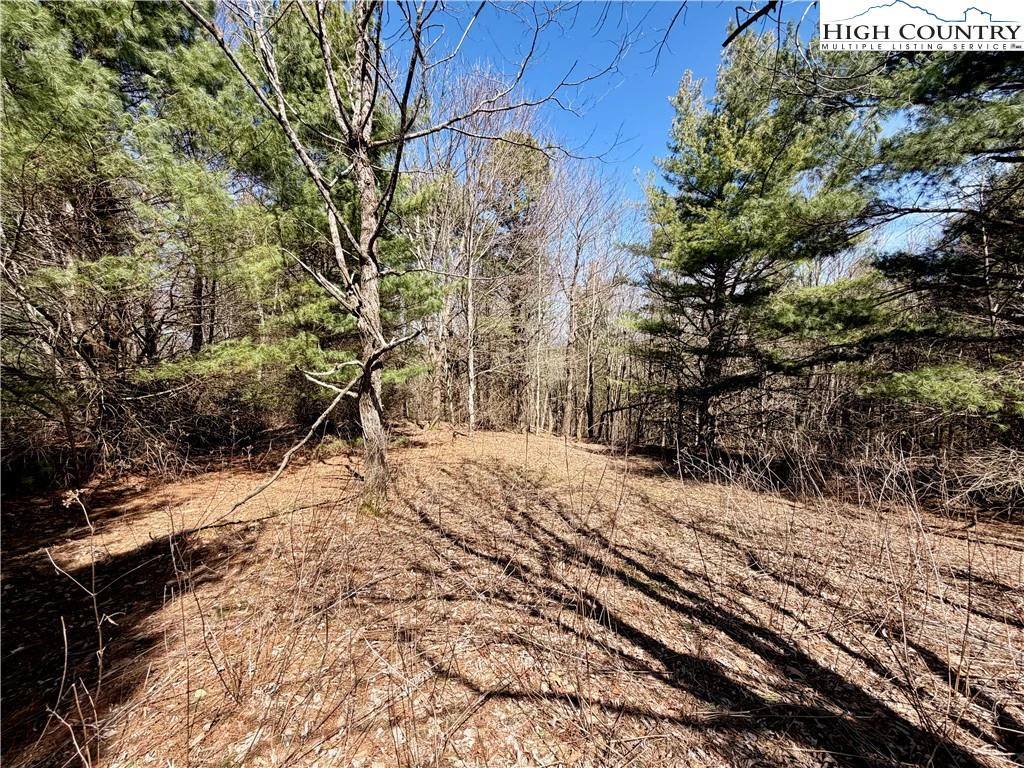 Image number 2 for the current listing