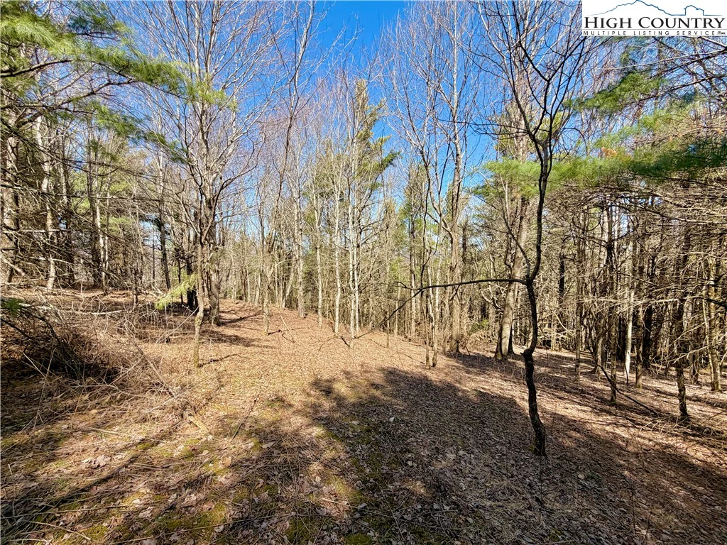 Image number 14 for the current listing