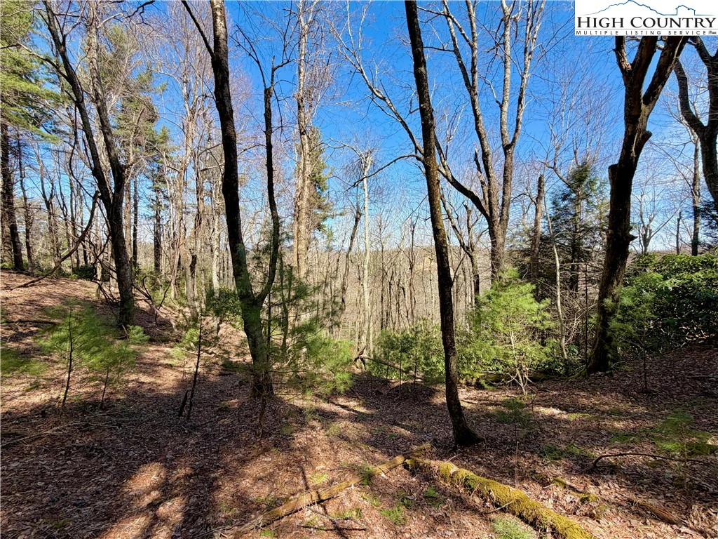 Image number 17 for the current listing
